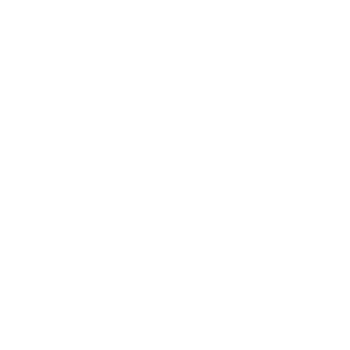 Logo White copy